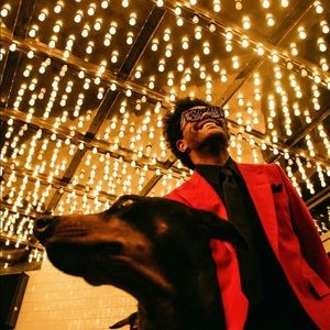 Meet your Posher, Graham